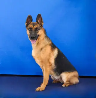 LUCY