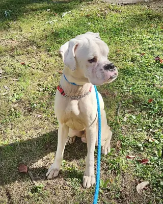 Gus