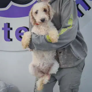 Winnie