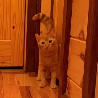 Oliver