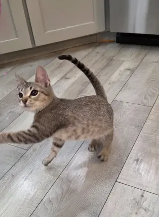 Charlie