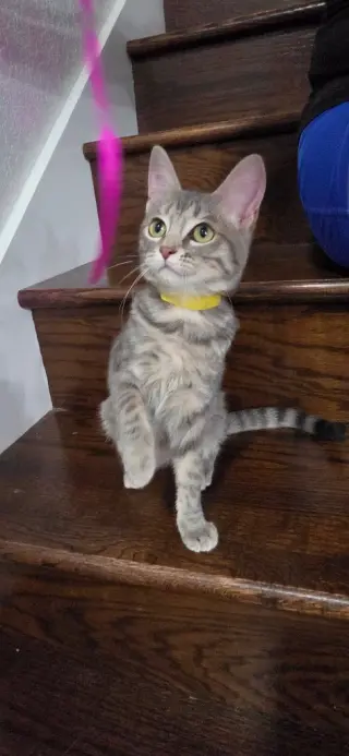 Gloria