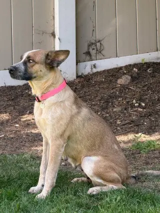 Miwa