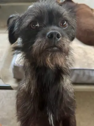 Lincoln