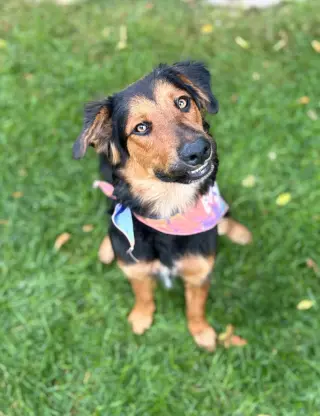 Jolene "Jojo