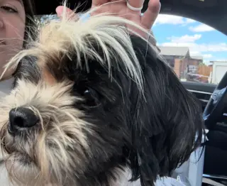 SPONSOR OR FOSTER ME - Penny
