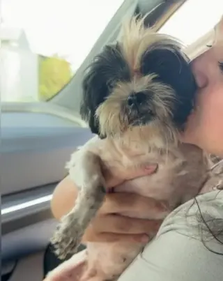 SPONSOR OR FOSTER ME - Penny