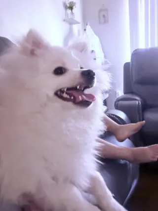 Milo