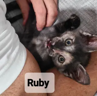 Ruby