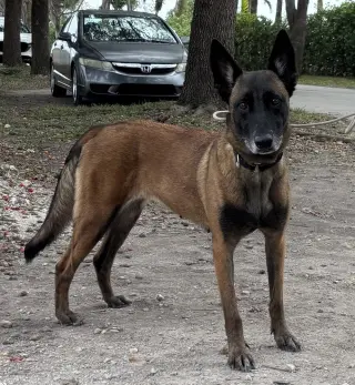 Berry - Located in Florida