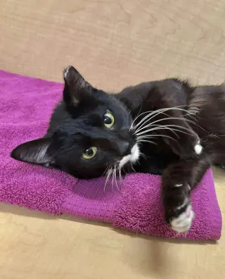 Sophie (aka Pepper)