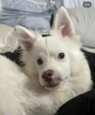 YUKI
