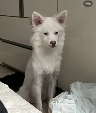 YUKI