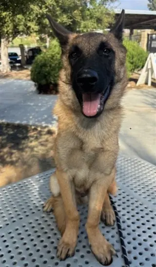 LALO