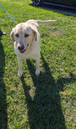 CHARLIE