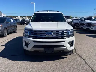 Ford Expedition 2020 4x4 Limited 4dr SUV