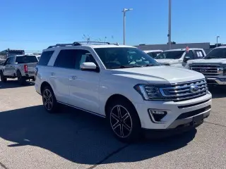 Ford Expedition 2020 4x4 Limited 4dr SUV