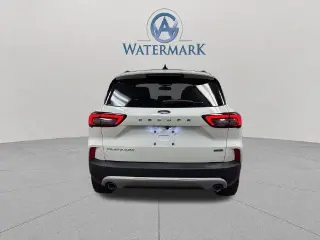 Ford Escape Híbrido 2023 AWD Platinum 4dr SUV