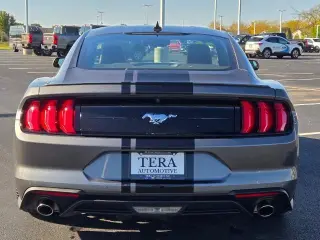Ford Mustang 2022 EcoBoost Premium 2dr Fastback