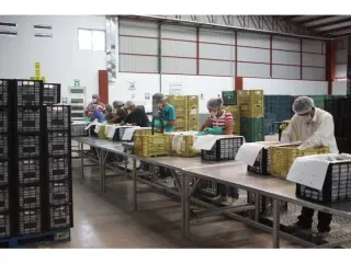 🔥 ¡MUCHAS VACANTES EN RIVERSIDE, CA! ¡CONTRATACIÓN INMEDIATA! 🔥