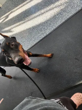 Rufio Foster Needed!!