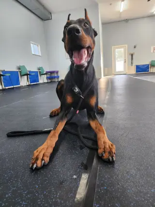 Rufio Foster Needed!!