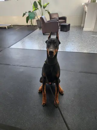 Rufio Foster Needed!!