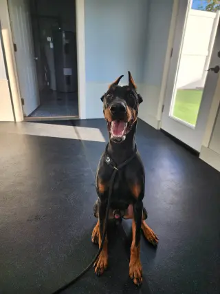 Rufio Foster Needed!!