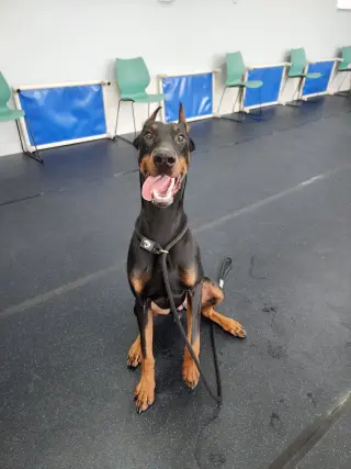 Rufio Foster Needed!!