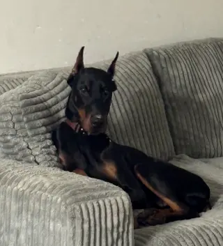Rufio Foster Needed!!