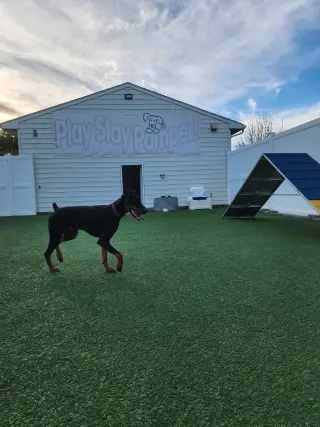Rufio Foster Needed!!