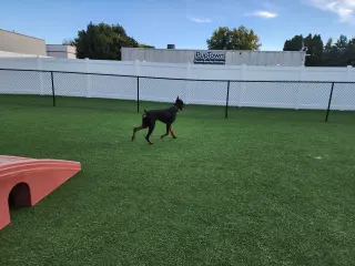 Rufio Foster Needed!!