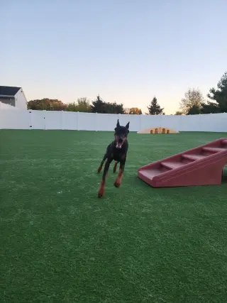 Rufio Foster Needed!!