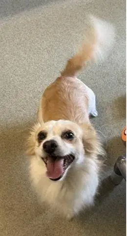 CHARLIE