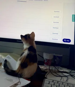 SNICKERS