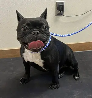 *ONYX