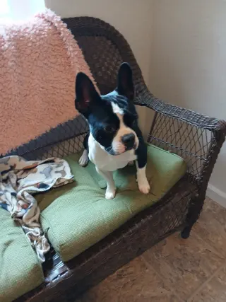 Spike and Jet