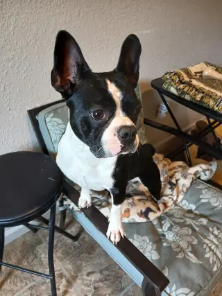 Spike and Jet