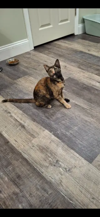 Twix