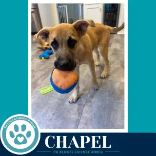 Chapel 100326