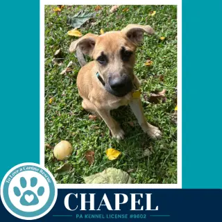 Chapel 100326