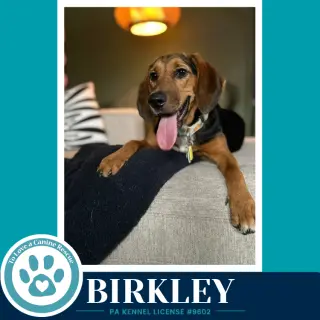 Birkley 100326