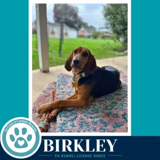 Birkley 100326