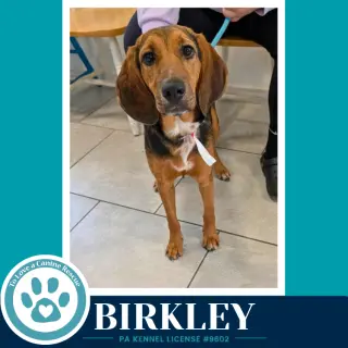 Birkley 100326
