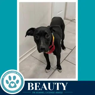 Beauty 100326