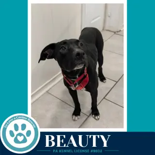 Beauty 100326