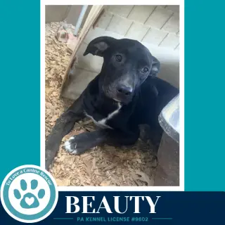 Beauty 100326