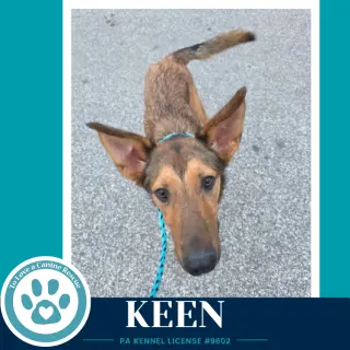 Keen 100326