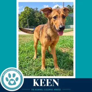 Keen 100326