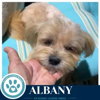 Albany 100326